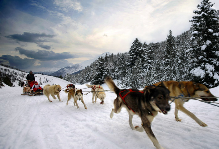 andorra trineos perros