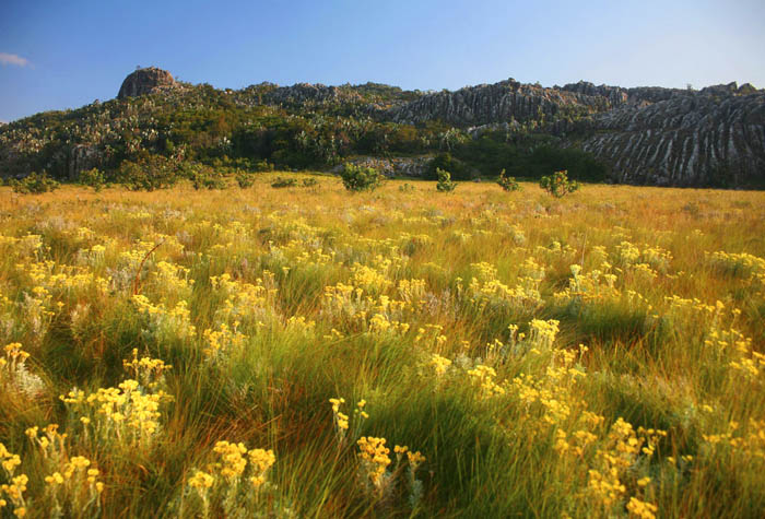 Gorongosa National Park