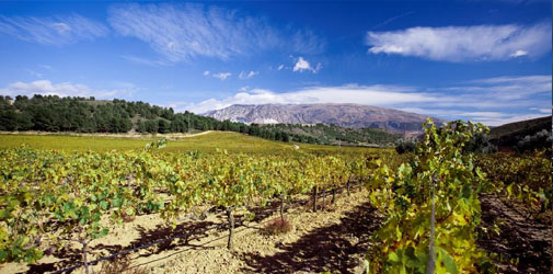 Hacienda Senoria de Nevada