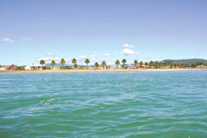 estudiar ingles nueva zelanda