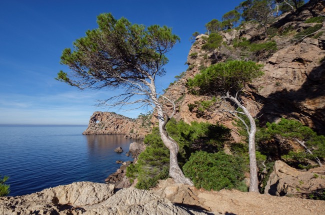 Mallorca ist der Welttourismusorganisation (UNWTO) als aktives Mitglied über die Mallorca Tourism Foundation (FMT) beigetreten