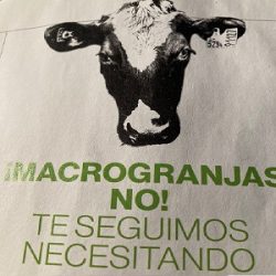 GreenPeace Macrogranjas